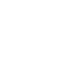 Eine Schere und Bürste