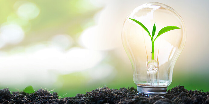 KI generiert: Das Bild zeigt eine Glühbirne, in der eine grüne Pflanze wächst, eingebettet in Erde.